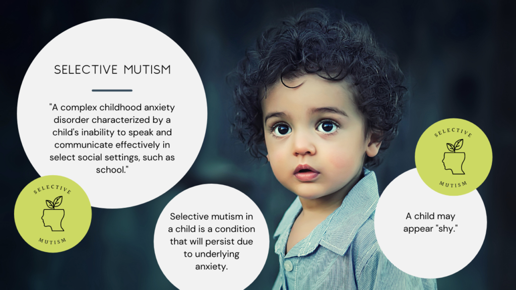 Mutism meaning